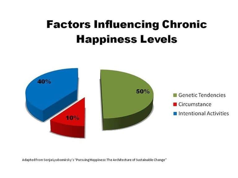 factors-cma